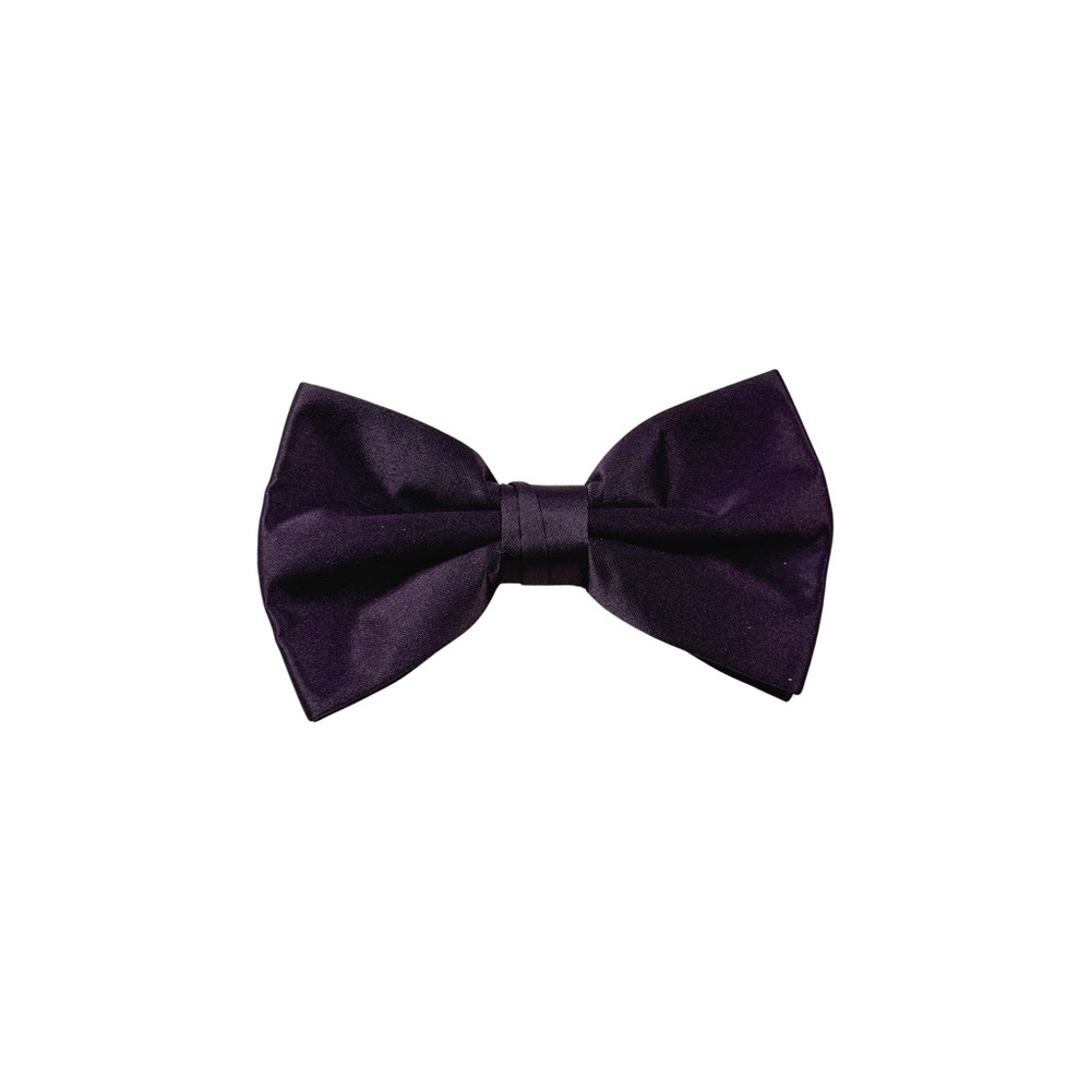 Stacy Adams Elegant Purple Ready-Tied Bow Tie